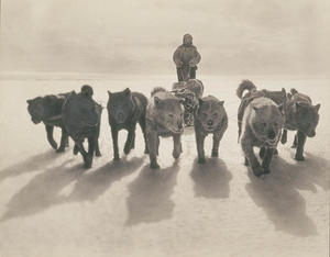 Huskies pulling sledge